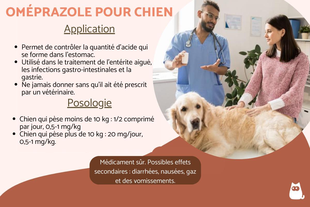 Omeprazole pour chien - Posologie, utilisation et effets secondaires