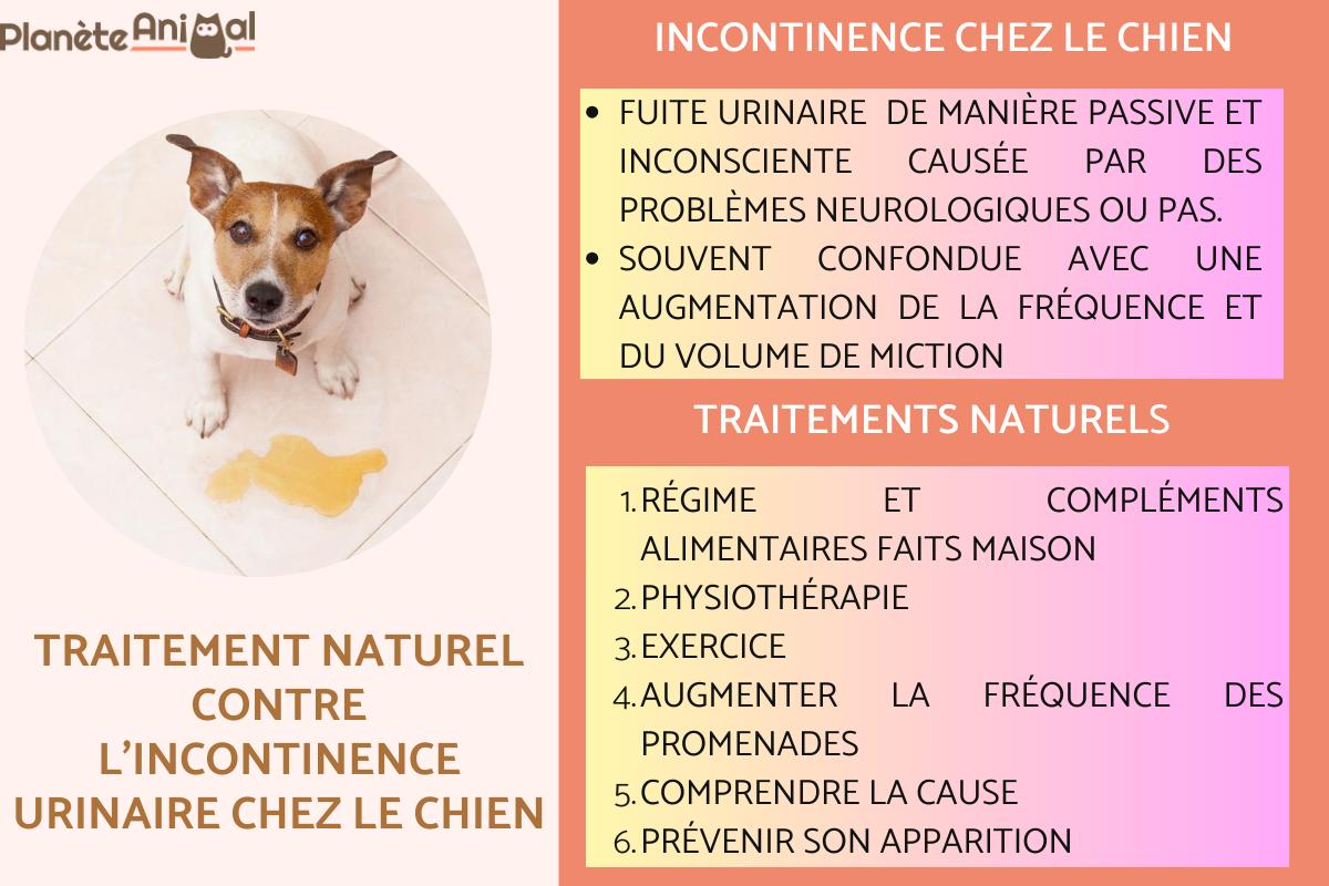 Traitement naturel contre l'incontinence urinaire chez le chien