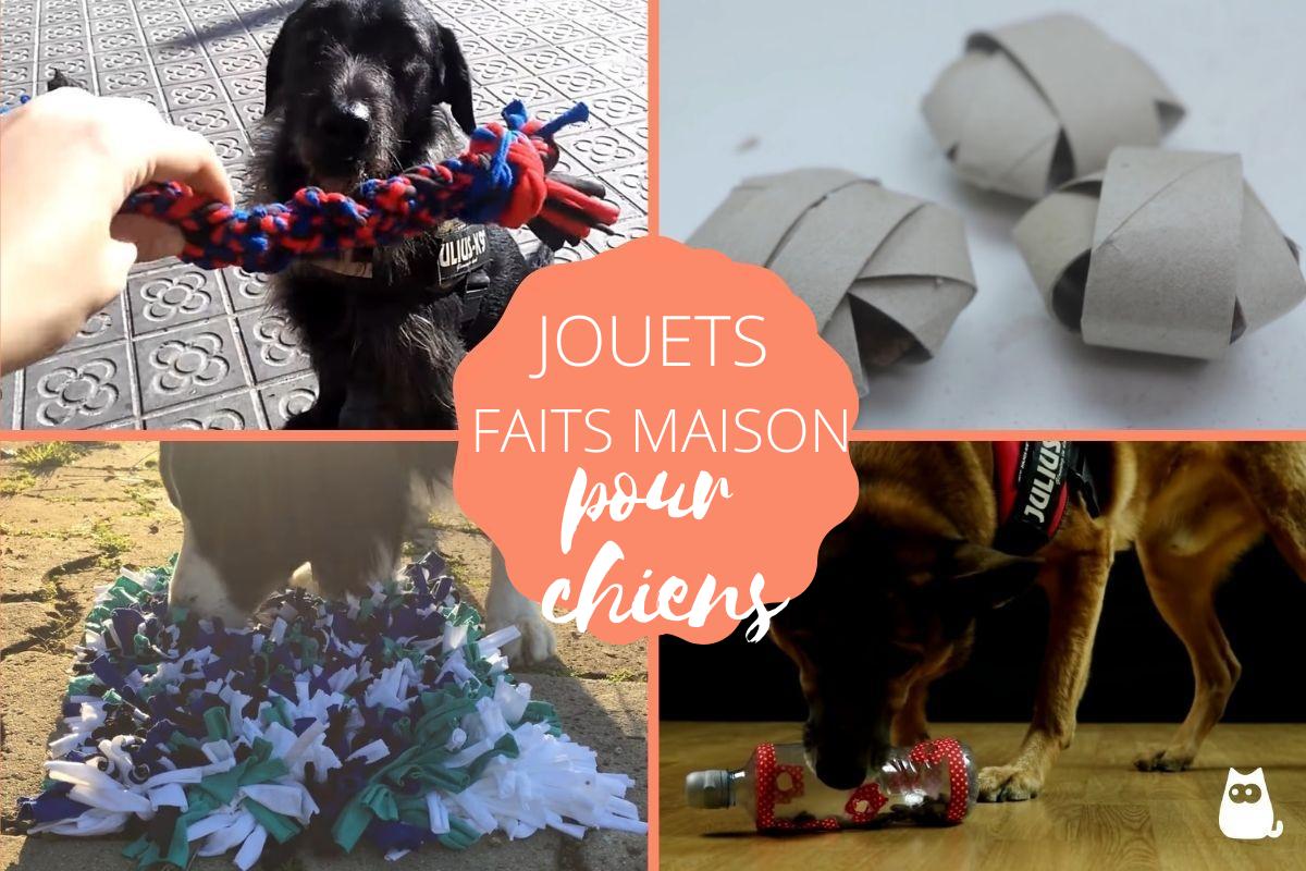 Jouets pour chien faits maison