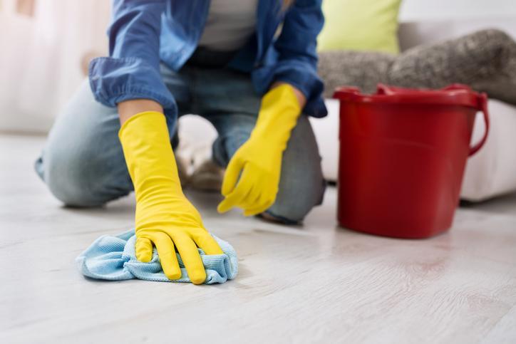 Comment empêcher un chien de faire ses besoins dans la maison