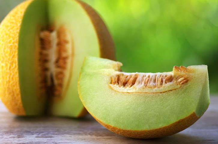 Peut-on donner du melon à un chien ? - Bienfaits, quantité