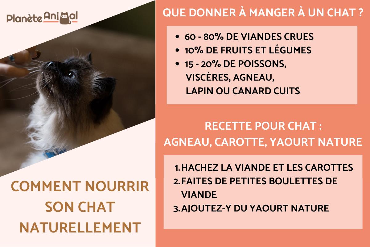 Comment nourrir son chat naturellement