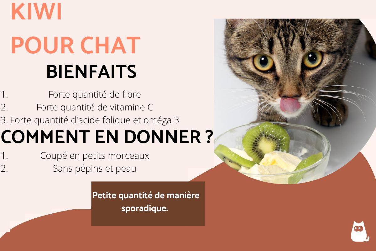 Mon chat peut-il manger du kiwi ?