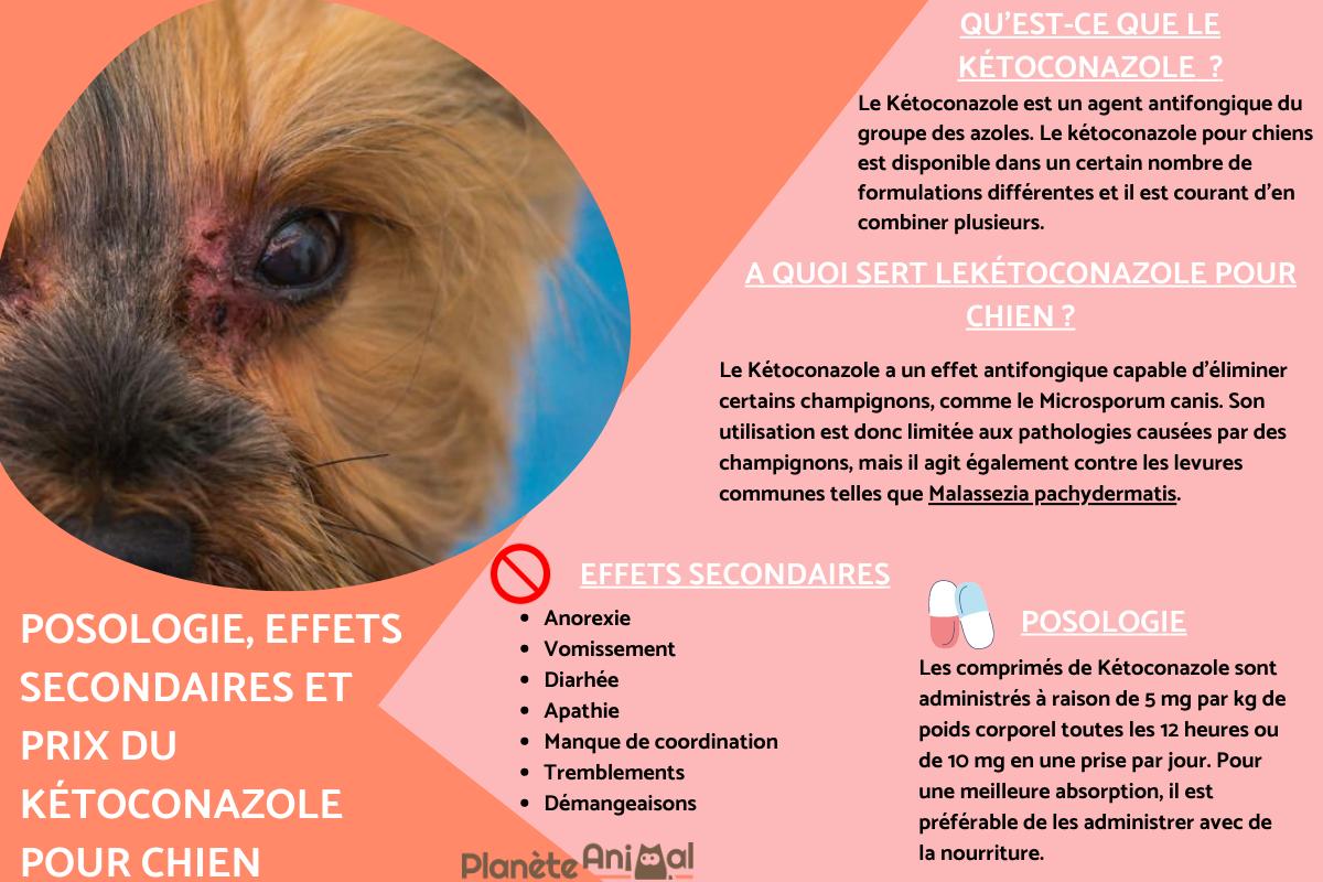 Kétoconazole pour chien - Posologie, prix et effets secondaires
