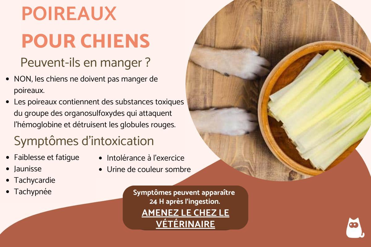 Peut-on donner des poireaux aux chiens ?
