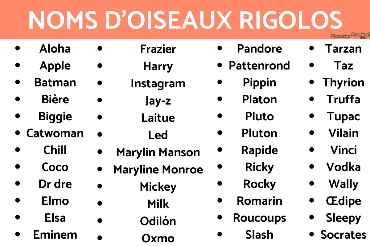 +300 IDÉES de Noms pour oiseaux MÂLES et FEMELLES