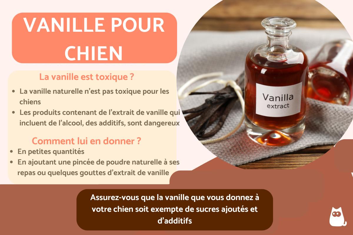 Peut-on donner de la vanille à un chien ?