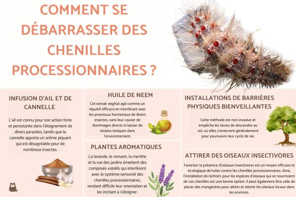 Comment se débarrasser des chenilles processionnaires - Traitement naturel