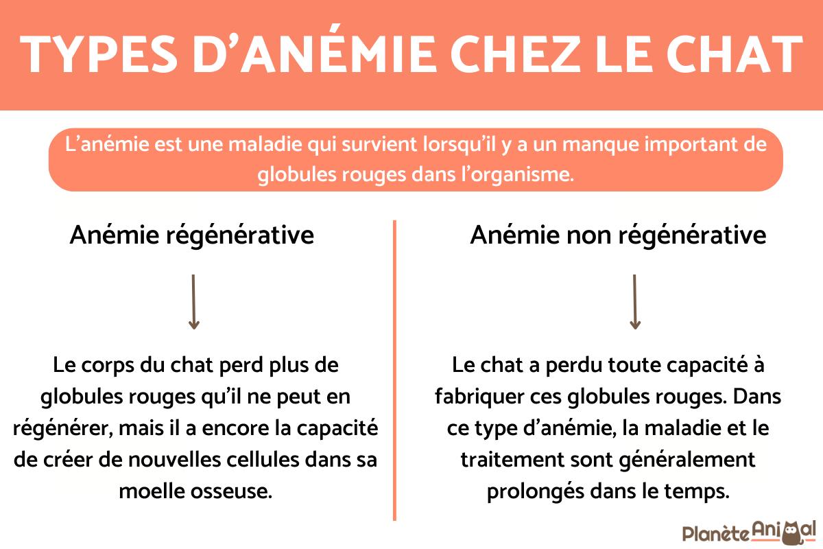 Types d'anémie chez le chat