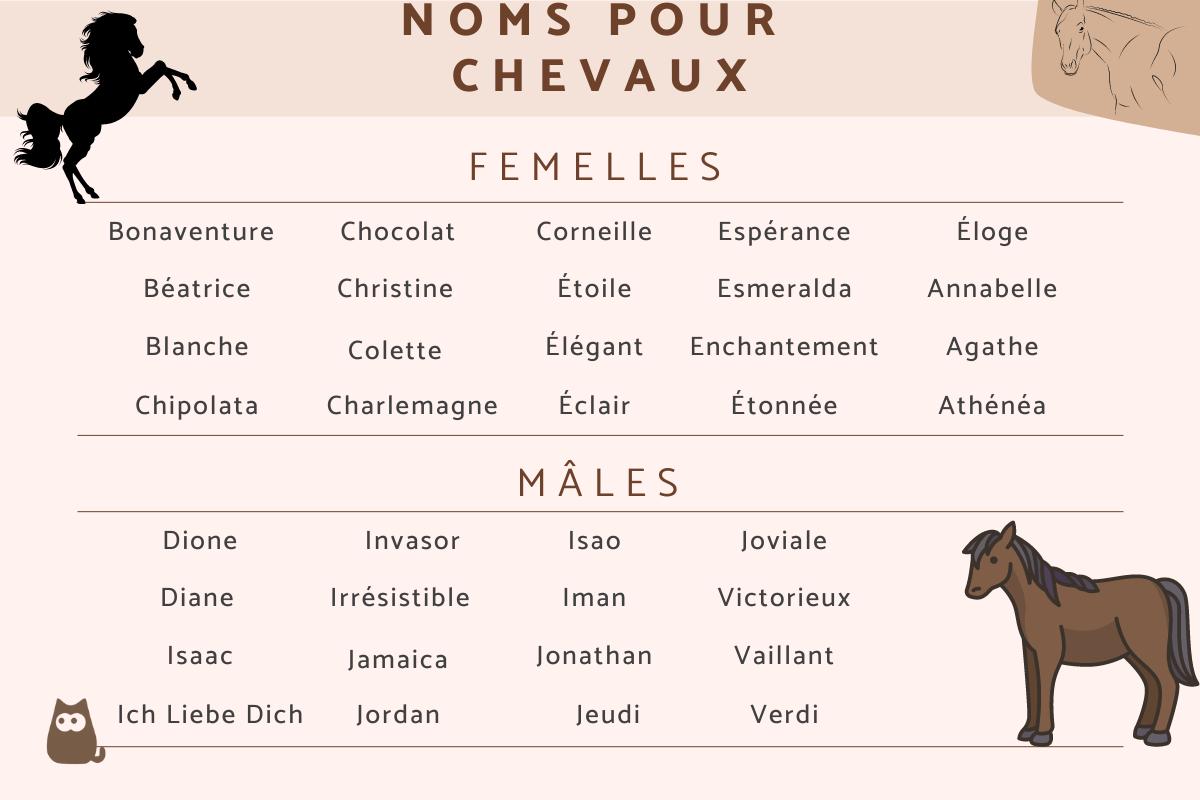 Noms pour chevaux mâles et femelles