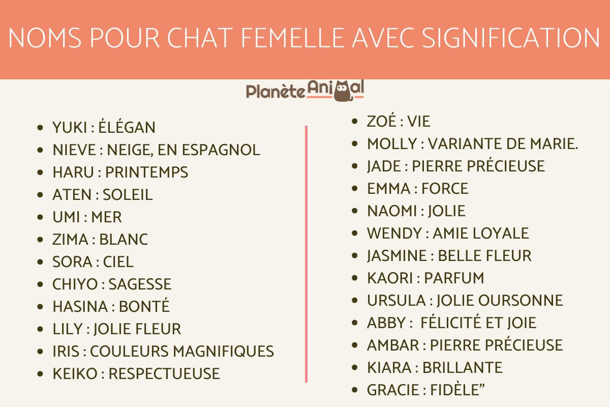 + de 100 NOMS de CHAT avec SIGNIFICATION