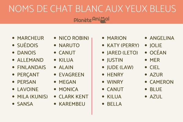 Noms pour chats blancs mâles et femelles - Noms de chat blanc aux yeux bleus