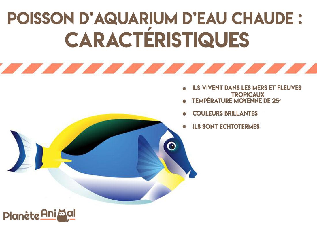Poisson d'aquarium D'EAU CHAUDE Top 20 — free download
