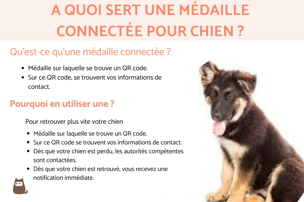 A quoi sert une médaille connectée pour chien ?