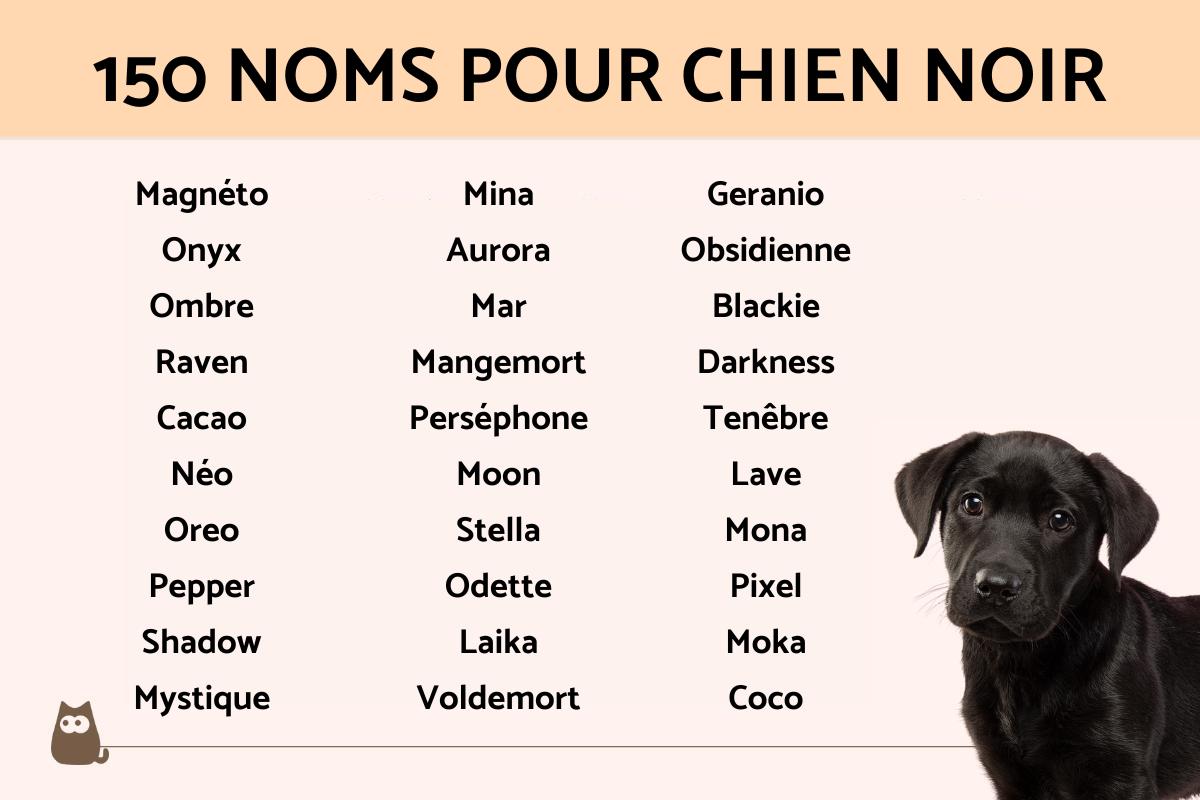 Noms pour chien noir