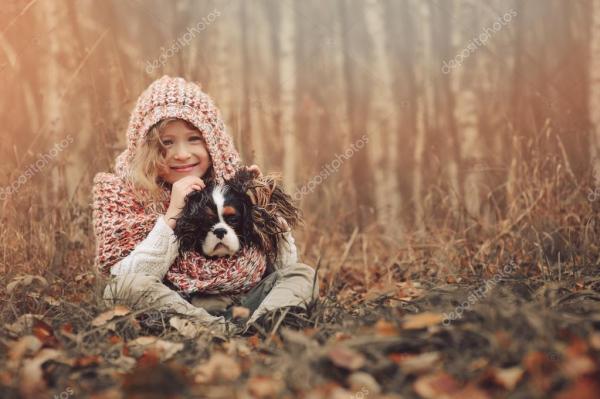 Cavalier King Charles : 11 choses à savoir - Le Cavalier King Charles Spaniel est adorable avec les enfants