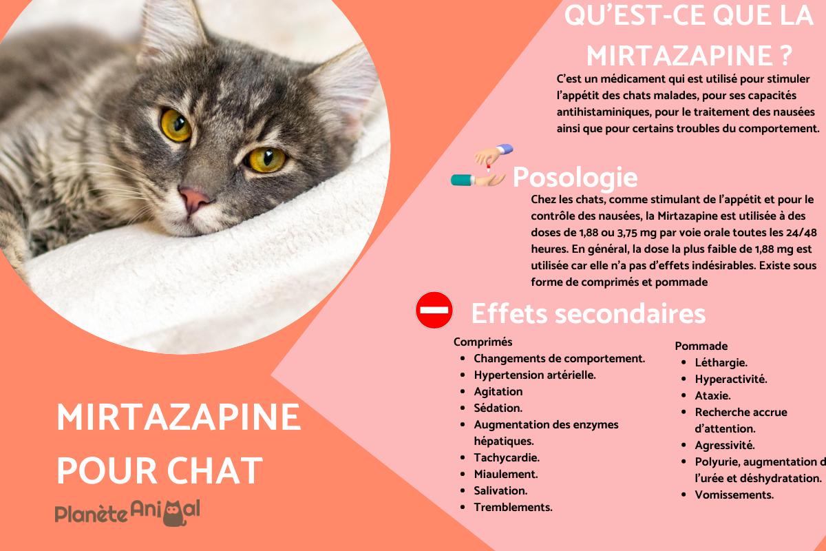 Mirtazapine pour chat - Posologie et effets secondaires