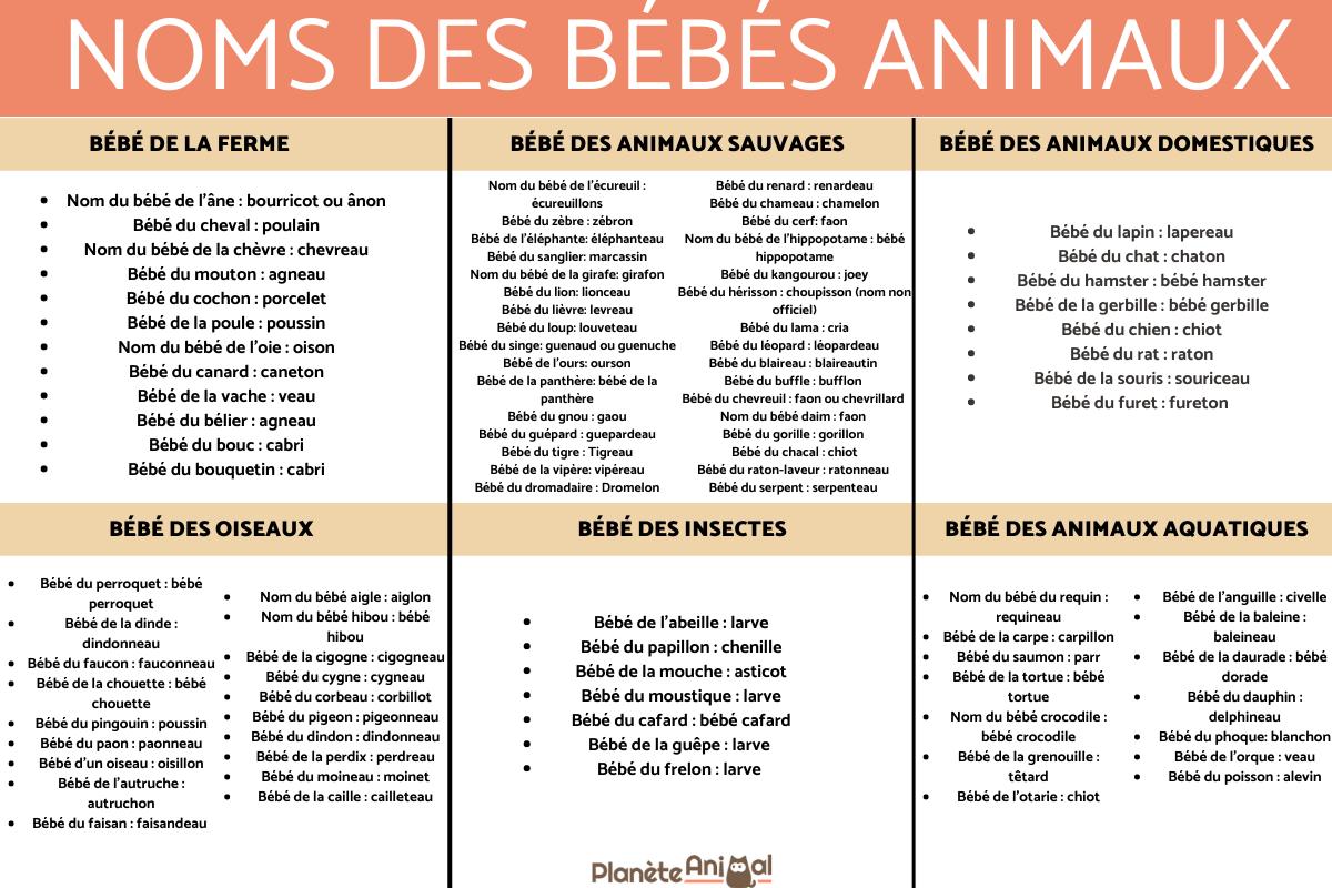 +90 de NOMS de BÉBÉS ANIMAUX Liste COMPLÈTE — free download