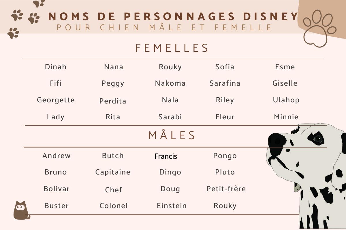 Noms de personnages Disney pour chiens
