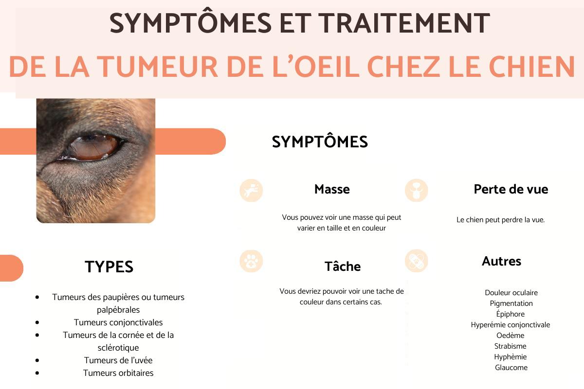 Tumeur de l'œil chez le chien : symptômes et traitement