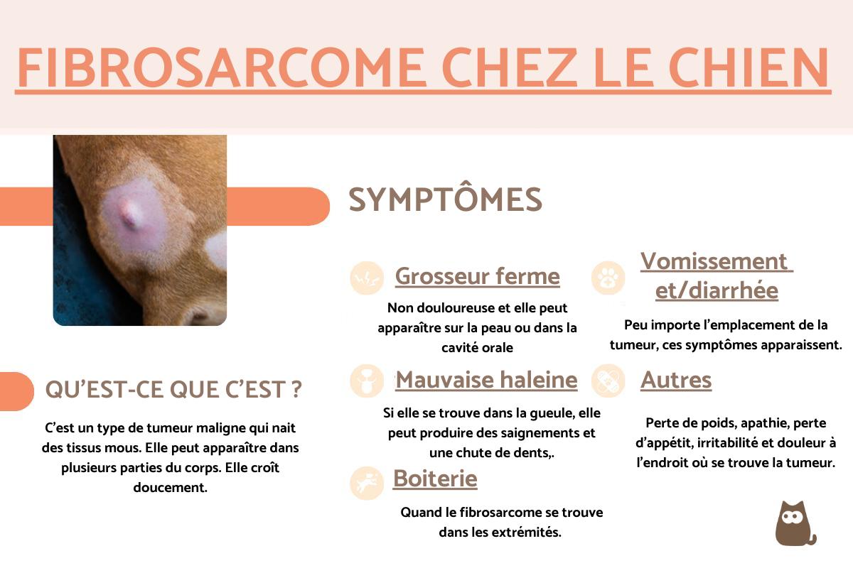Fibrosarcome chez le chien : symptômes et traitement