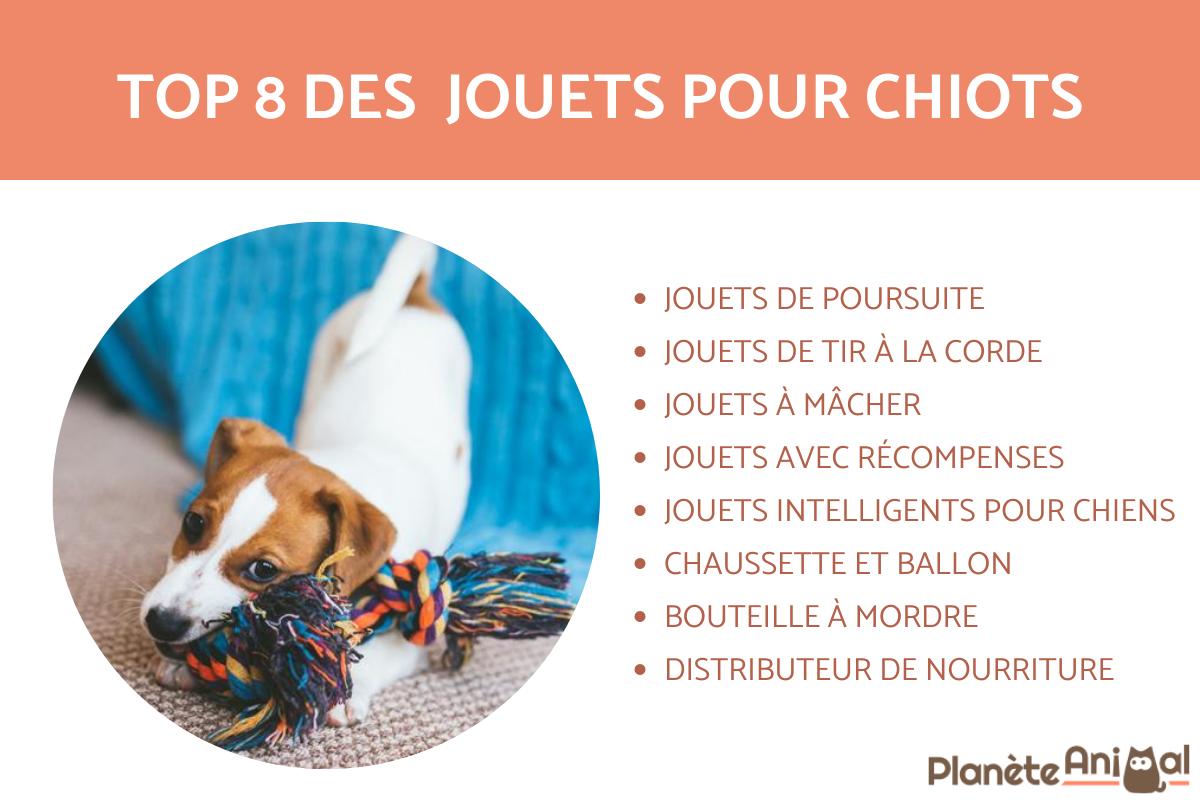 Meilleurs jouets pour chiots
