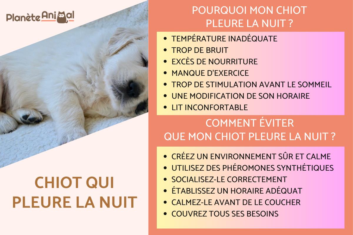 Chiot qui pleure la nuit - Que faire ?