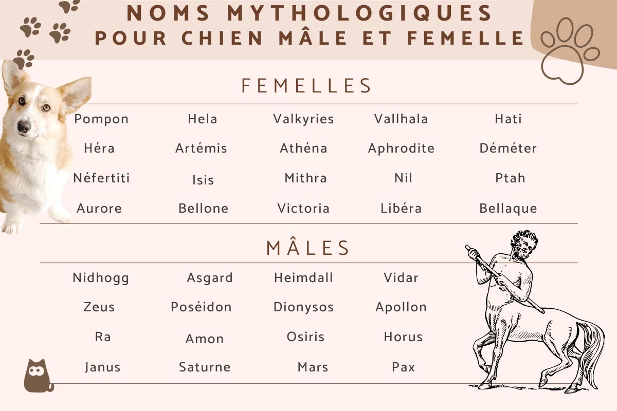 Des idées de noms mythologiques pour votre chien