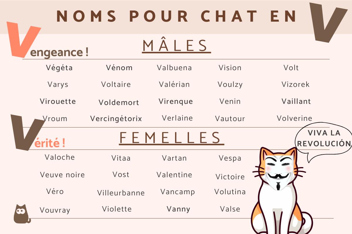 Nom de chat en V - 2024