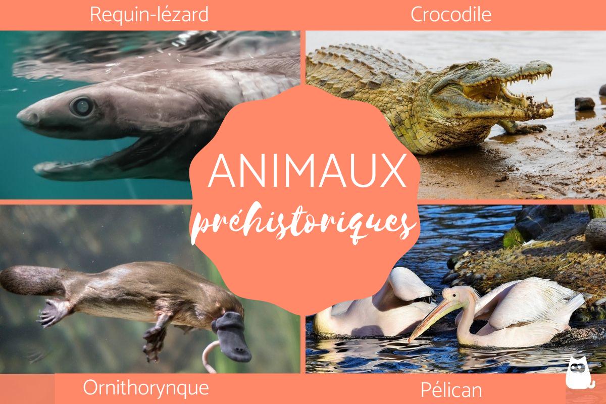 Animaux préhistoriques - Caractéristiques et exemples