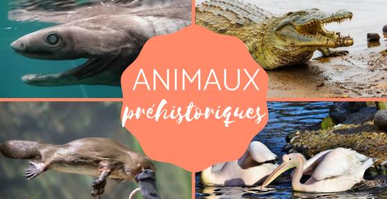 Animaux préhistoriques - Caractéristiques et exemples