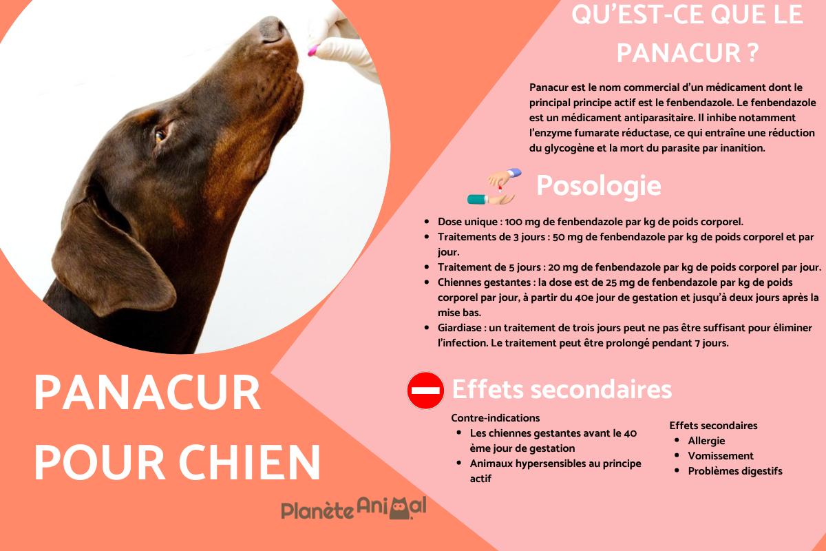 Panacur pour chien - Posologie, usages et effets secondaires