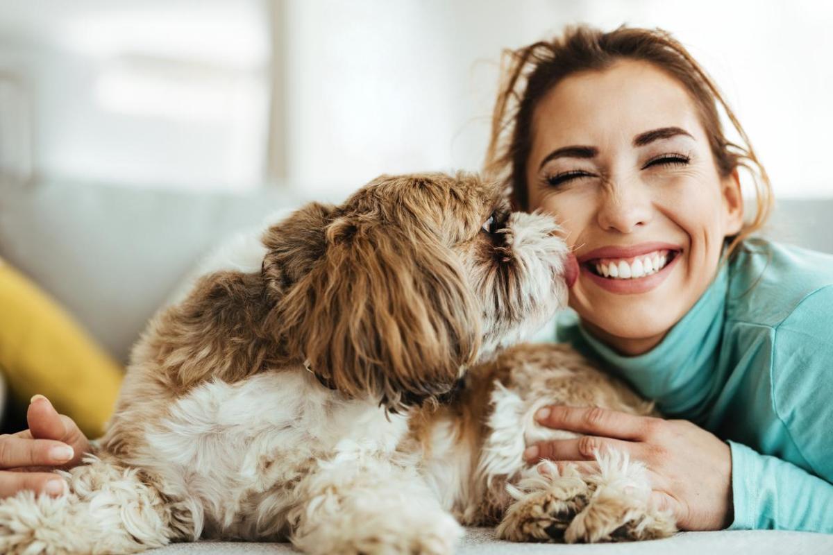 Noms de personnes pour chien