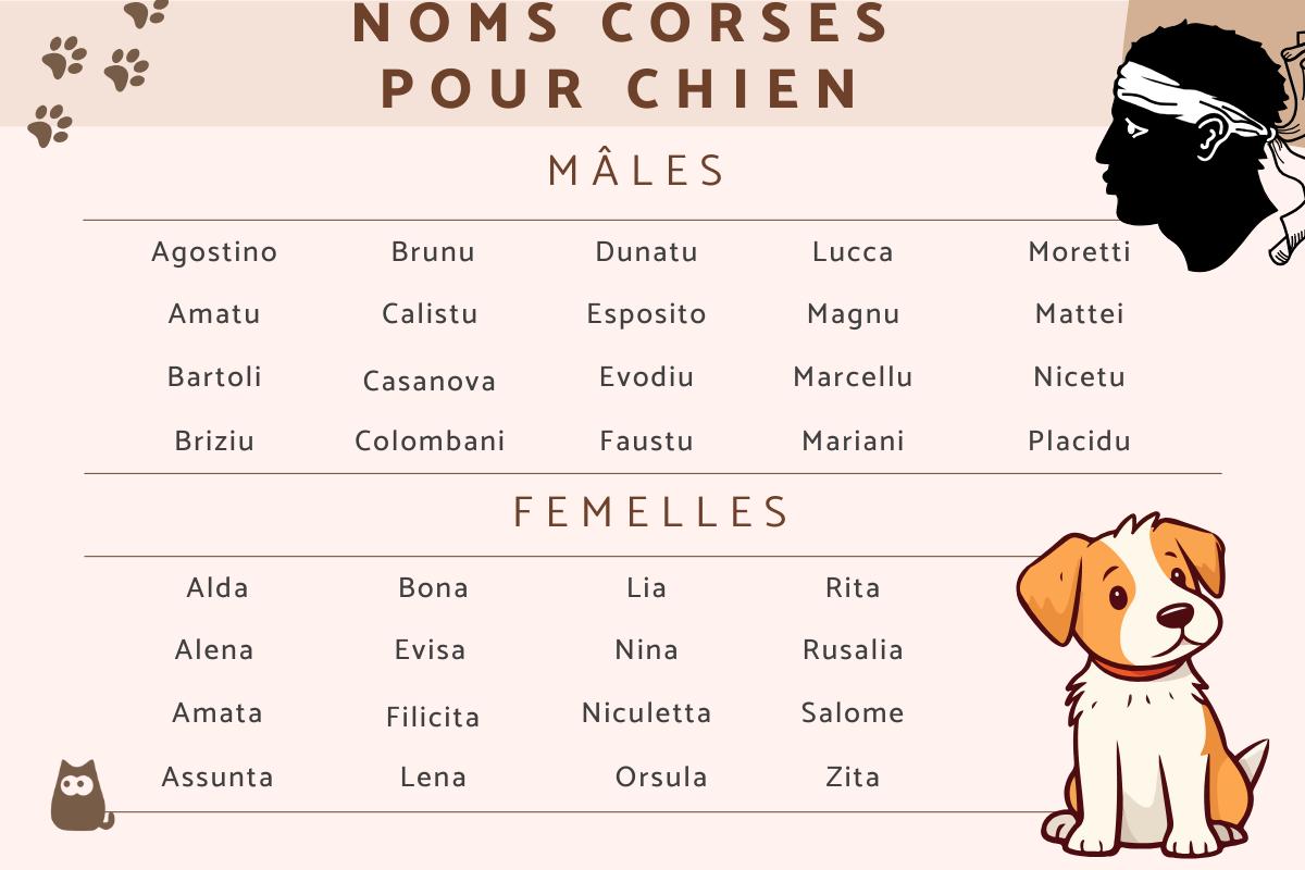 Noms corses pour chiens