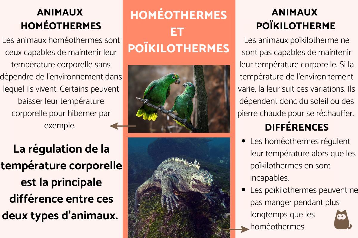 Animaux homéothermes et poïkilothermes