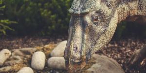 Exposé sur les dinosaures - Reproduction, alimentation, œufs