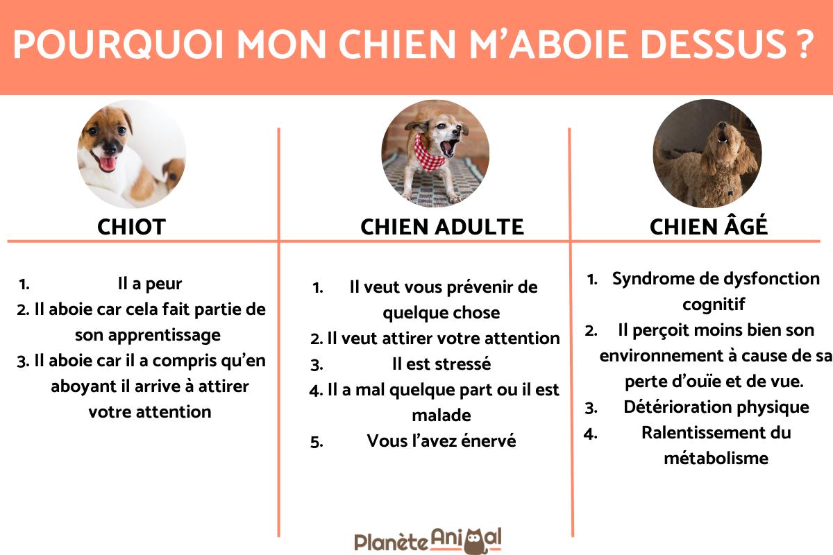 Pourquoi mon chien m'aboie dessus ?