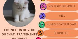 Extinction de voix du chat : traitement naturel