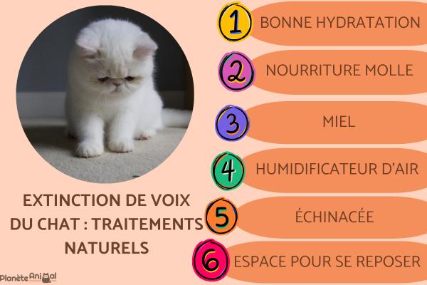 Extinction de voix du chat : traitement naturel