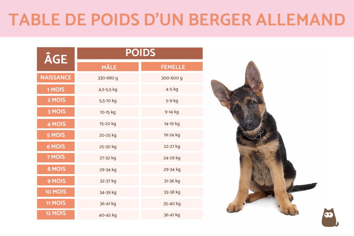 Poids d