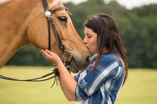 Citations sur les chevaux - Jolies, d'amours, de cavalier, Instagram
