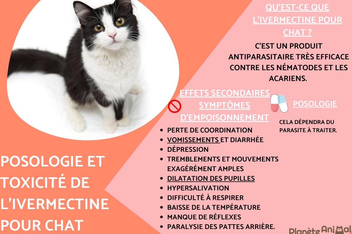 Ivermectine pour chat - posologie et toxicité