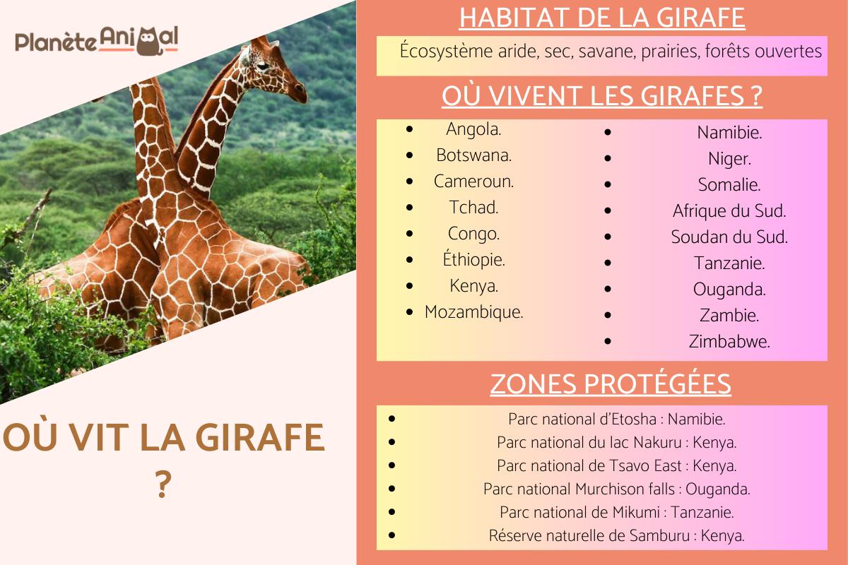 Où vit la girafe ?