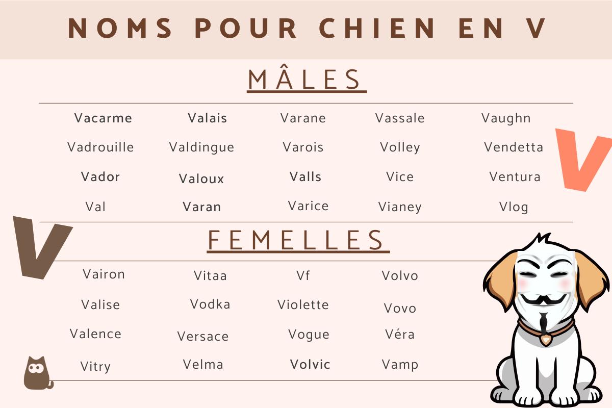 Nom de chien en V - 2024
