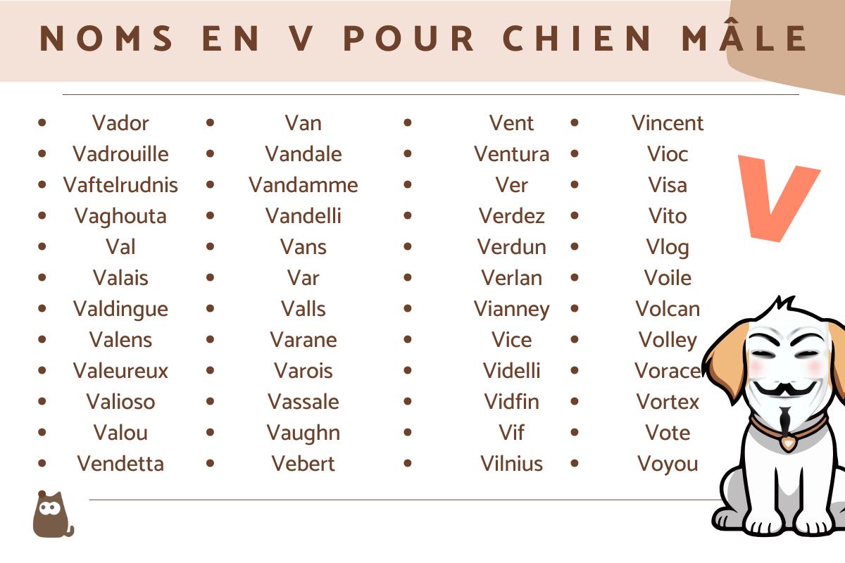 +150 idées de NOM de CHIEN en V pour 2024