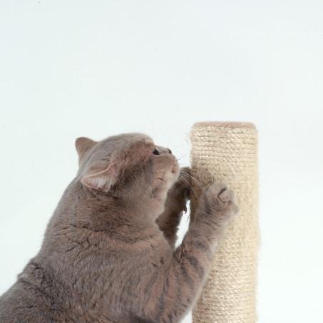 Types de griffoirs pour chats