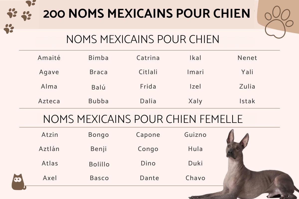 200 NOMS MEXICAINS pour CHIEN mâle et femelle