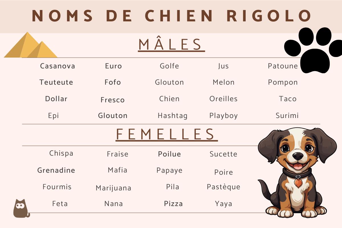 Noms de chien rigolo