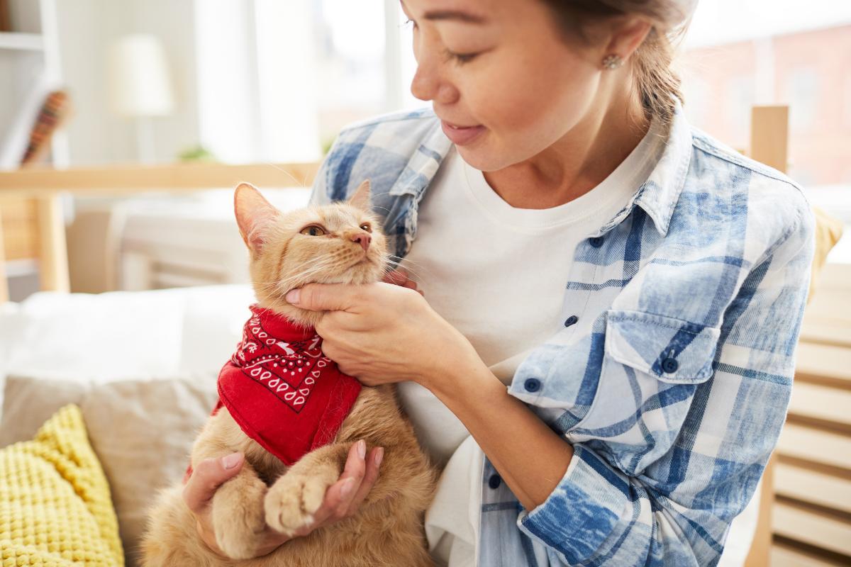Comment les chats voient les humains ?