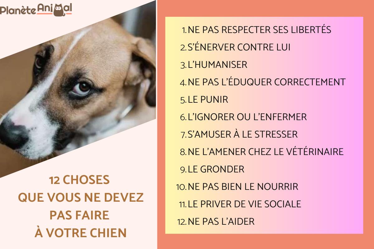 12 choses que vous ne devez pas faire à votre chien